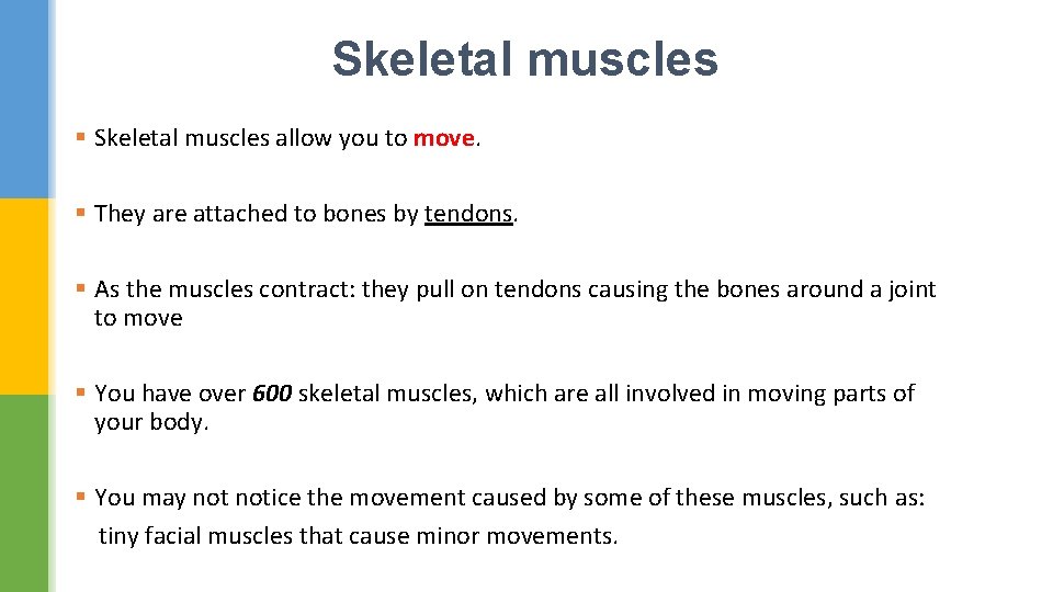 Skeletal muscles § Skeletal muscles allow you to move. § They are attached to