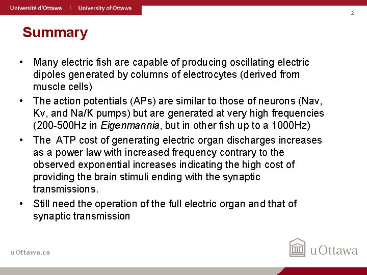 21 Summary • Many electric fish are capable of producing oscillating electric dipoles generated