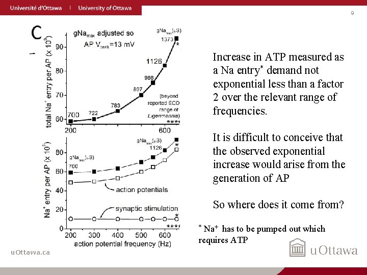 9 Increase in ATP measured as a Na entry* demand not exponential less than