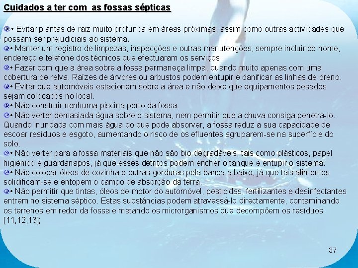 Cuidados a ter com as fossas sépticas • Evitar plantas de raiz muito profunda