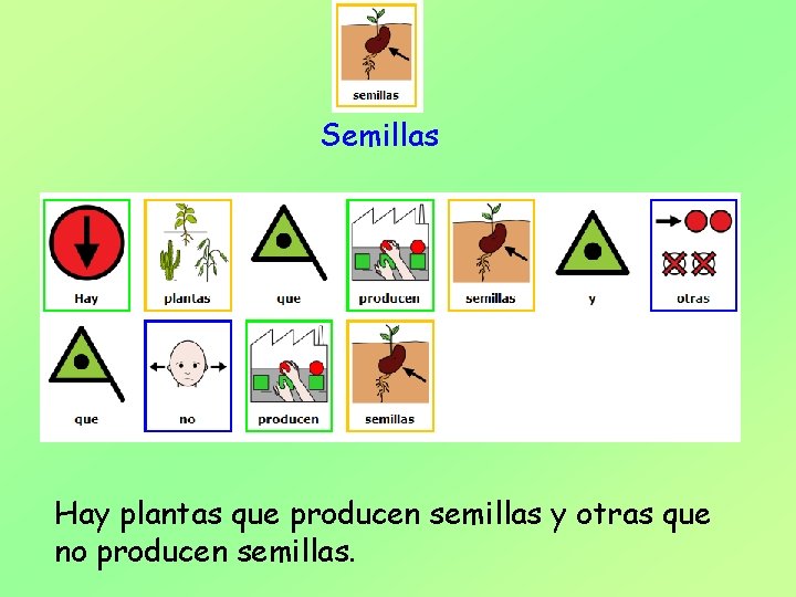 Semillas Hay plantas que producen semillas y otras que no producen semillas. 