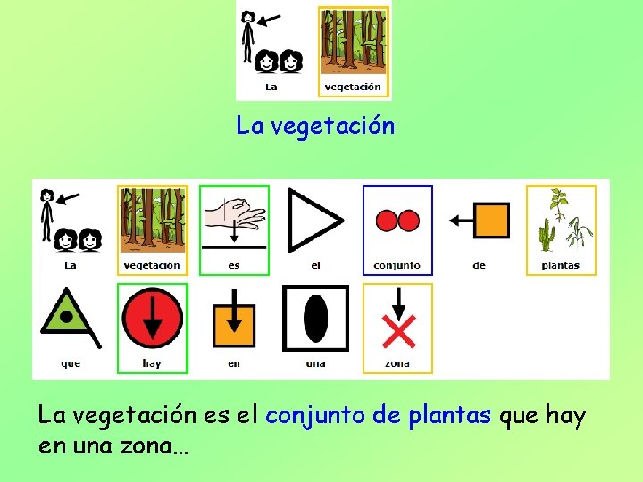 La vegetación es el conjunto de plantas que hay en una zona… 