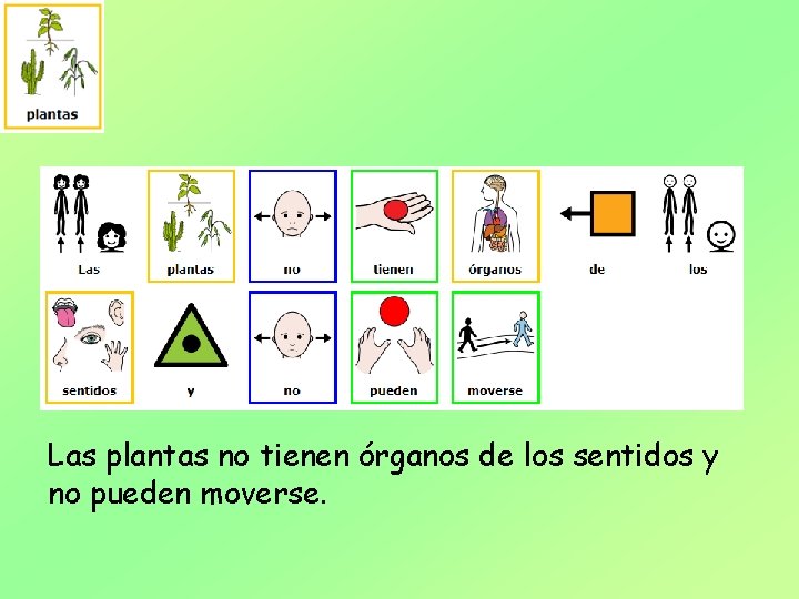 Las plantas no tienen órganos de los sentidos y no pueden moverse. 