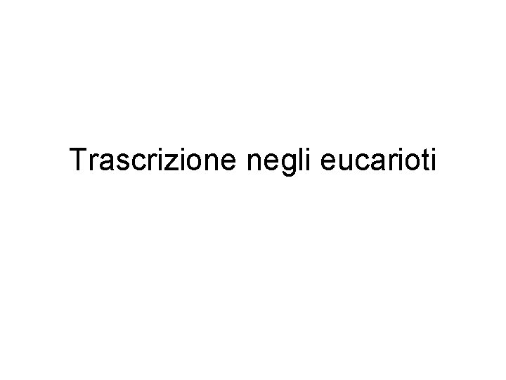 Trascrizione negli eucarioti 