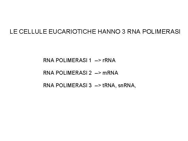 LE CELLULE EUCARIOTICHE HANNO 3 RNA POLIMERASI 1 --> r. RNA POLIMERASI 2 -->