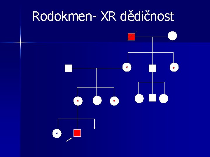 Rodokmen- XR dědičnost 