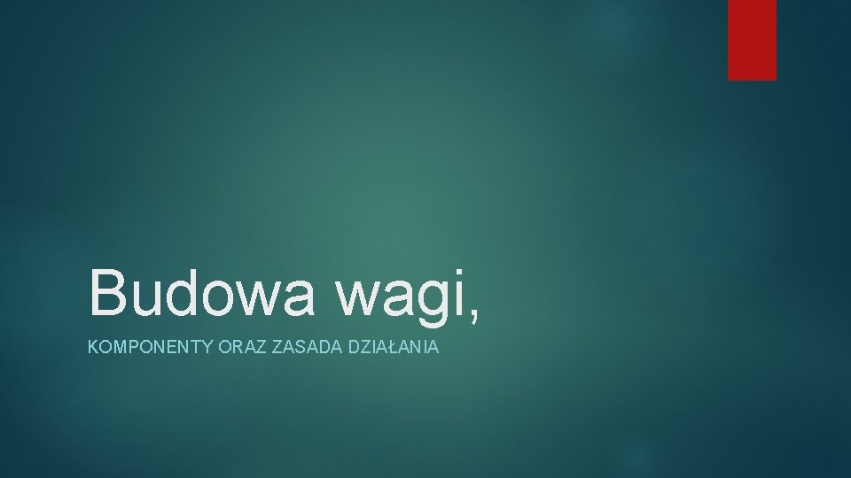 Budowa wagi, KOMPONENTY ORAZ ZASADA DZIAŁANIA 