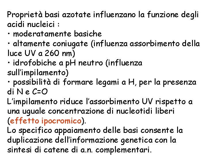 Proprietà basi azotate influenzano la funzione degli acidi nucleici : • moderatamente basiche •