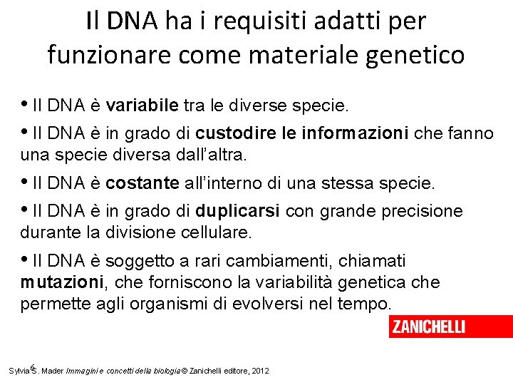 Il DNA ha i requisiti adatti per funzionare come materiale genetico • Il DNA