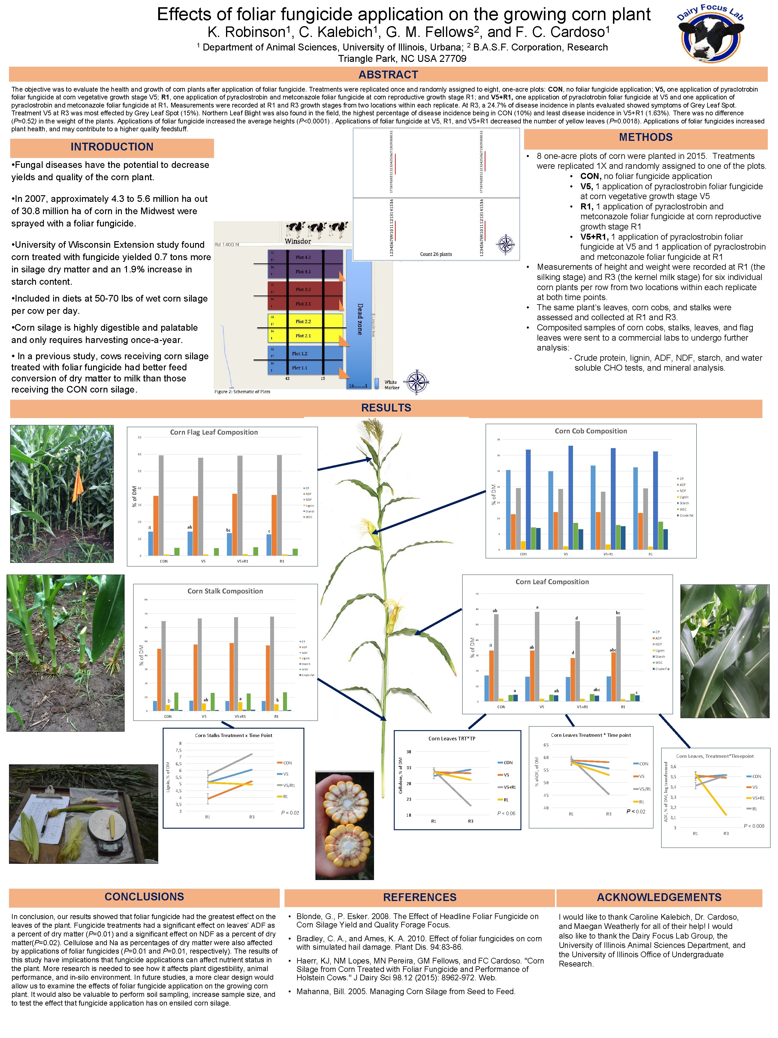 Effects of foliar fungicide application on the growing corn plant K. Robinson 1, C.