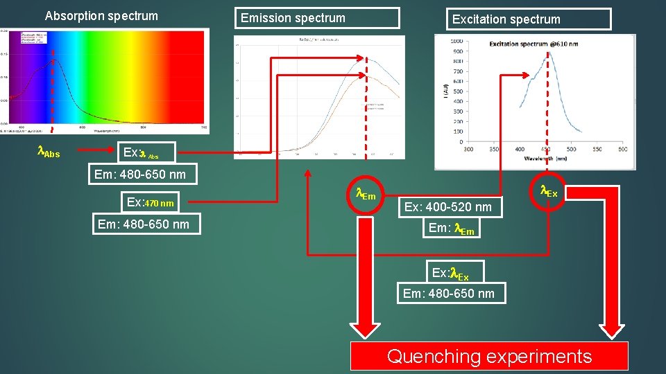 Absorption spectrum Abs Emission spectrum Excitation spectrum Ex: Abs Em: 480 -650 nm Ex: