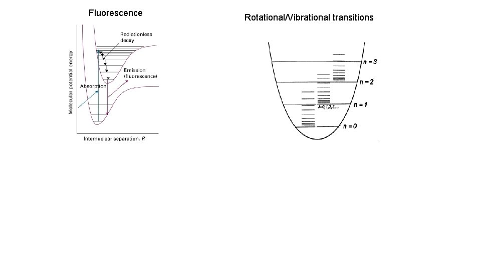 Fluorescence Rotational/Vibrational transitions 