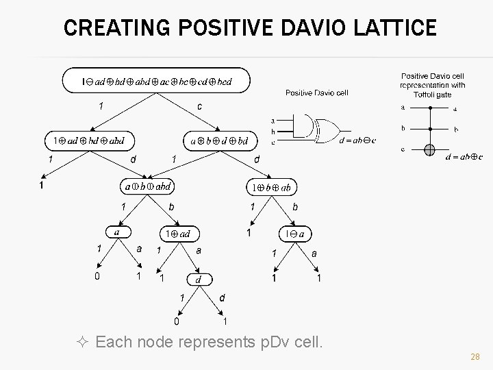 CREATING POSITIVE DAVIO LATTICE ² Each node represents p. Dv cell. 28 