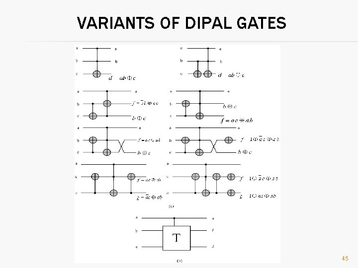 VARIANTS OF DIPAL GATES 45 