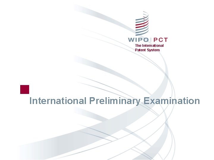 The International Patent System International Preliminary Examination 