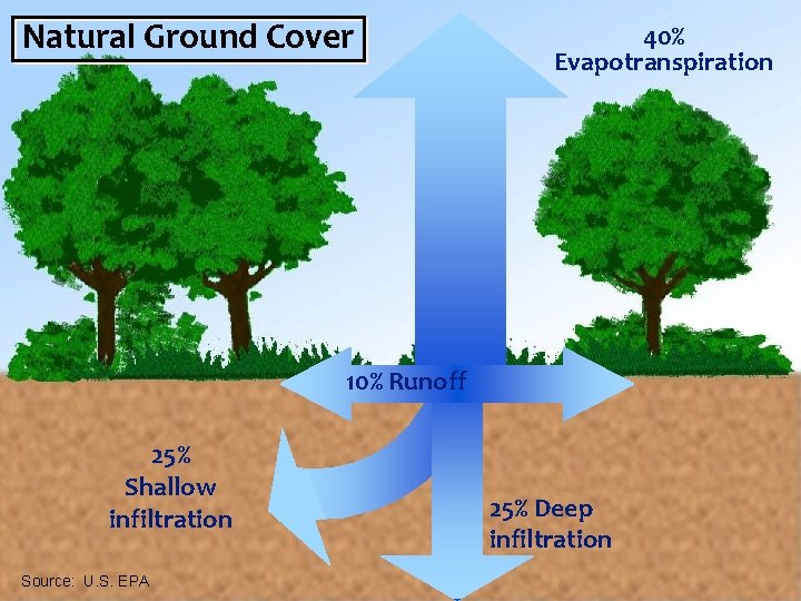Natural Ground Cover 40% Evapotranspiration 10% Runoff 25% Shallow infiltration Source: U. S. EPA
