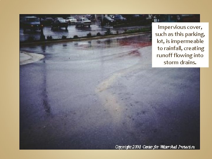 Impervious cover, such as this parking, lot, is impermeable to rainfall, creating runoff flowing