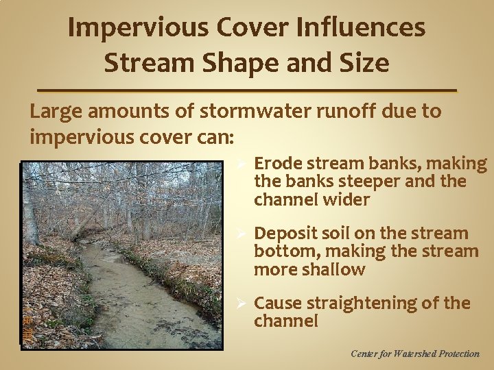 Impervious Cover Influences Stream Shape and Size Large amounts of stormwater runoff due to