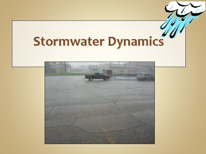 Stormwater Dynamics 