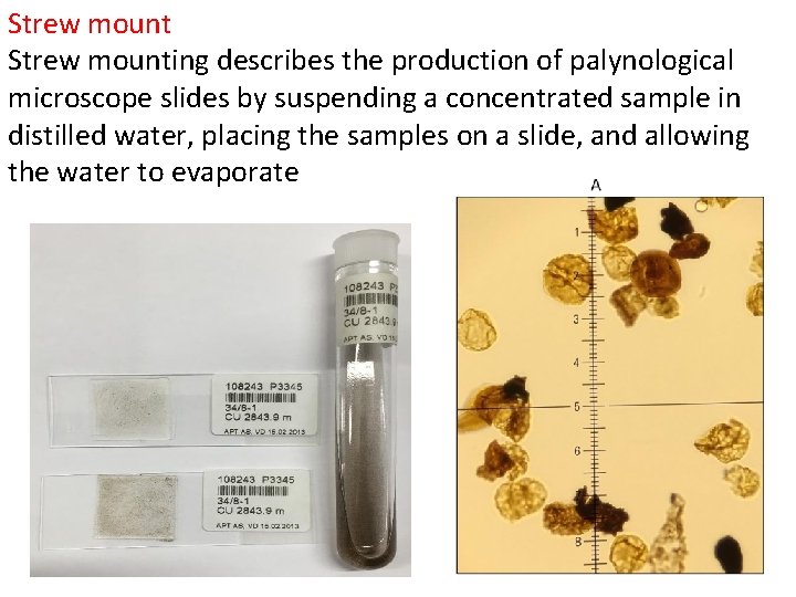 Strew mounting describes the production of palynological microscope slides by suspending a concentrated sample