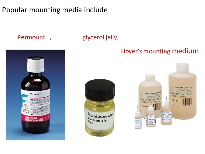 Popular mounting media include Permount , glycerol jelly, Hoyer's mounting medium 
