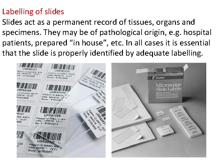 Labelling of slides Slides act as a permanent record of tissues, organs and specimens.