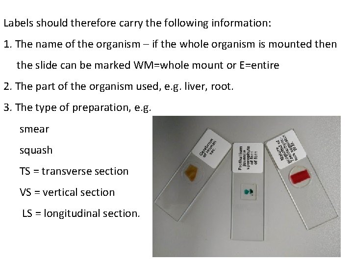 Labels should therefore carry the following information: 1. The name of the organism –