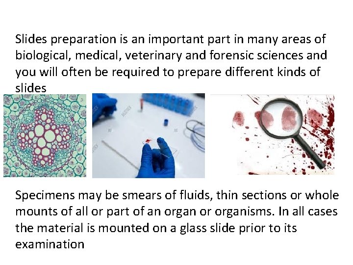 Slides preparation is an important part in many areas of biological, medical, veterinary and