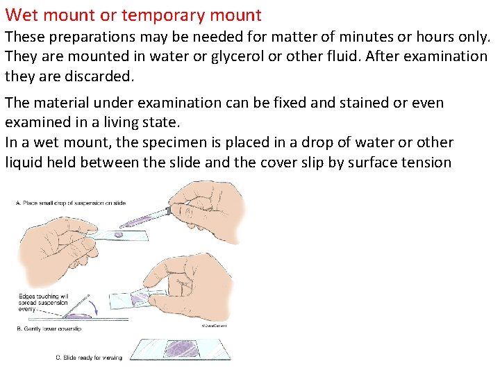 Wet mount or temporary mount These preparations may be needed for matter of minutes