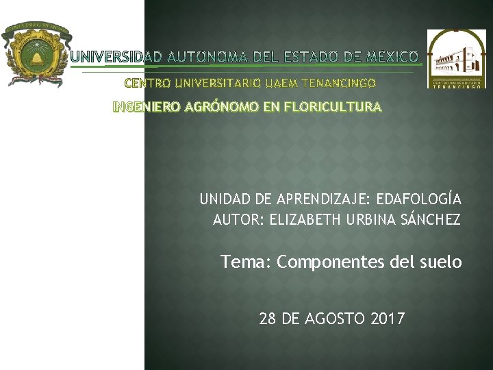 INGENIERO AGRÓNOMO EN FLORICULTURA UNIDAD DE APRENDIZAJE: EDAFOLOGÍA AUTOR: ELIZABETH URBINA SÁNCHEZ Tema: Componentes