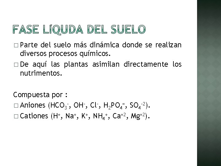 � Parte del suelo más dinámica donde se realizan diversos procesos químicos. � De