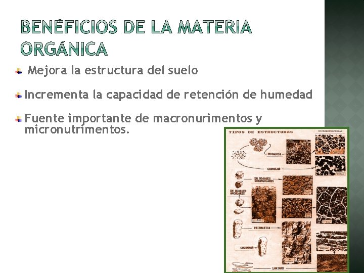 Mejora la estructura del suelo Incrementa la capacidad de retención de humedad Fuente importante