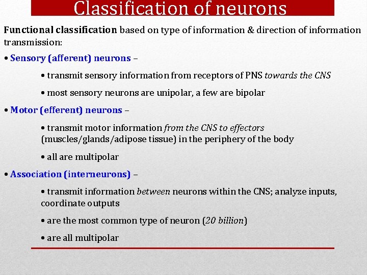 Classification of neurons Functional classification based on type of information & direction of information