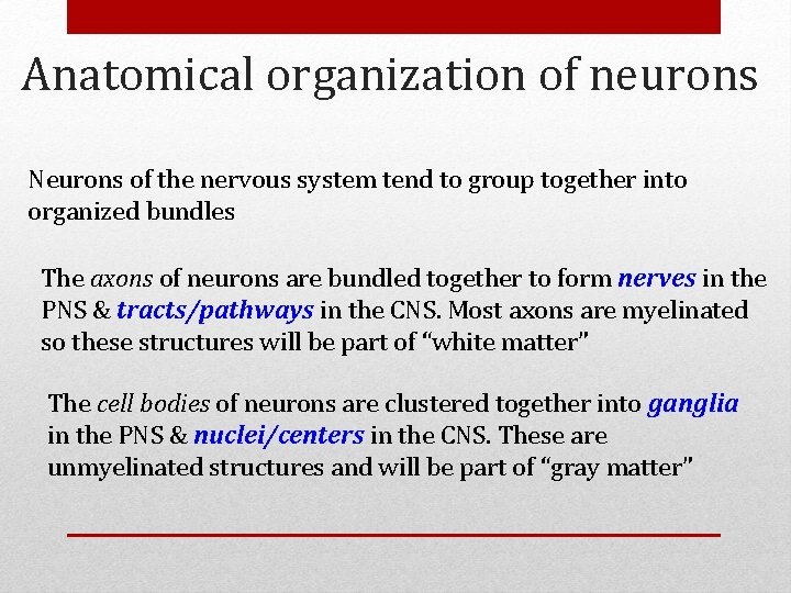 Anatomical organization of neurons Neurons of the nervous system tend to group together into