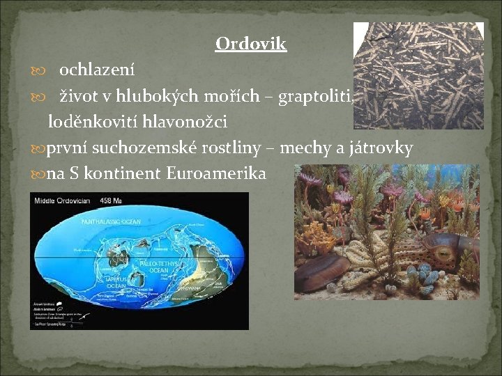 Ordovik ochlazení život v hlubokých mořích – graptoliti, loděnkovití hlavonožci první suchozemské rostliny –