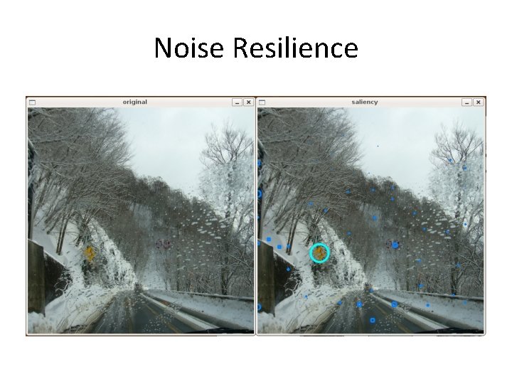 Noise Resilience 