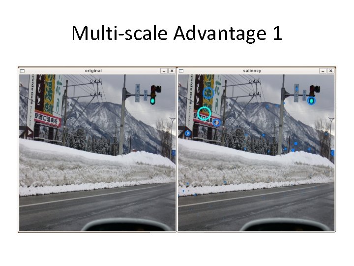 Multi-scale Advantage 1 