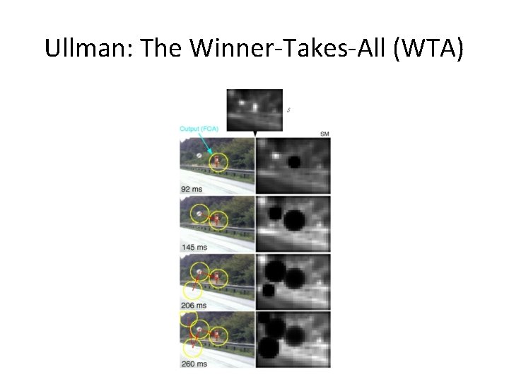 Ullman: The Winner-Takes-All (WTA) 