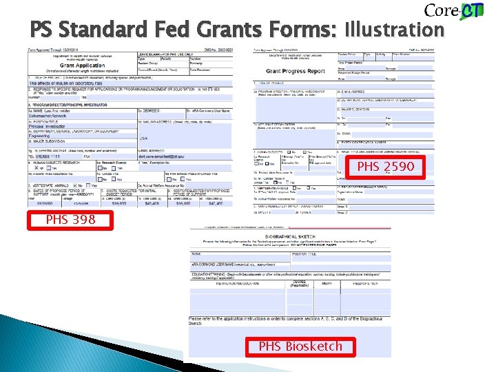 PS Standard Fed Grants Forms: Illustration PHS 2590 PHS 398 PHS Biosketch 