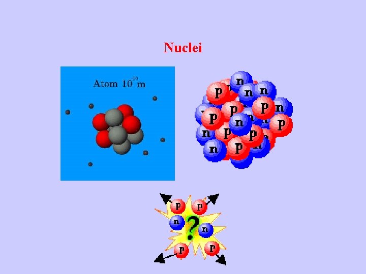 Nuclei 