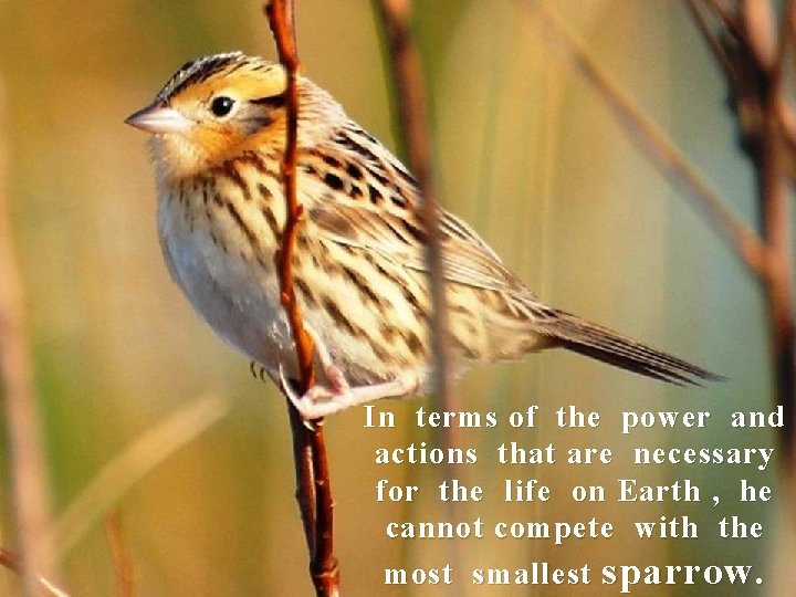 In terms of the power and actions that are necessary for the life on