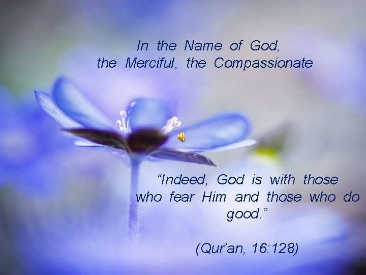In the Name of God, the Merciful, the Compassionate “Indeed, God is with those