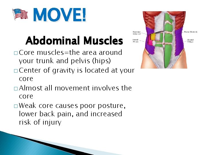 MOVE! Abdominal Muscles � Core muscles=the area around your trunk and pelvis (hips) �