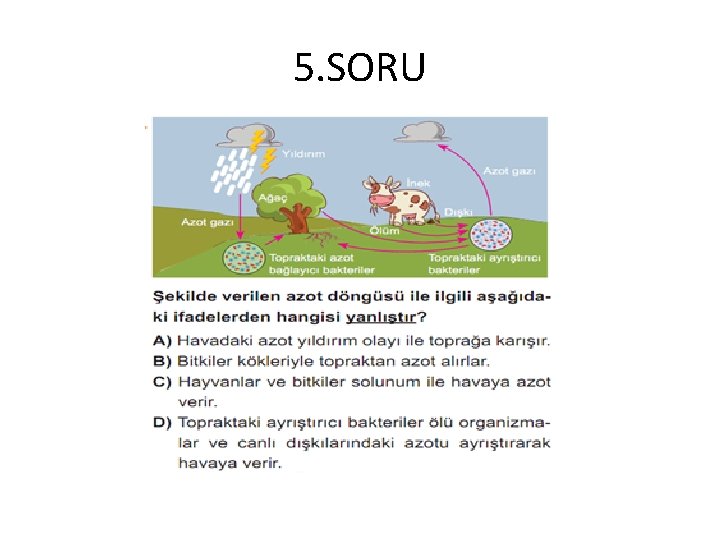 5. SORU 