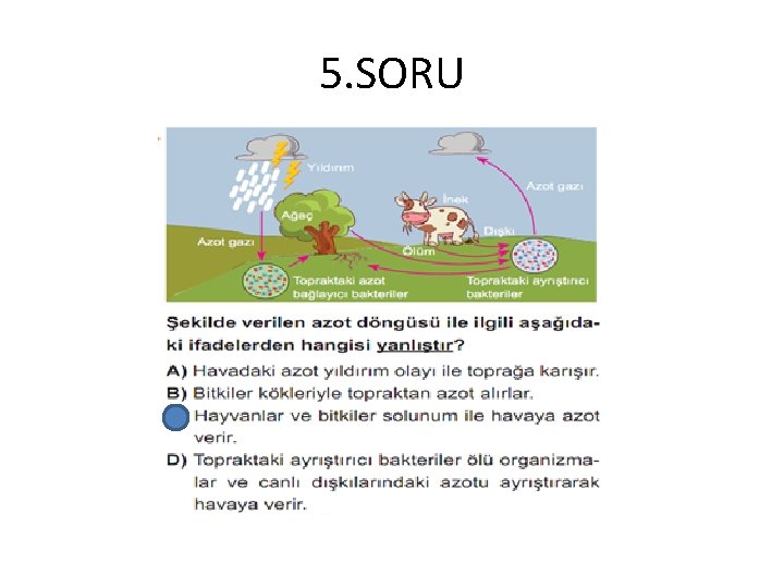 5. SORU 