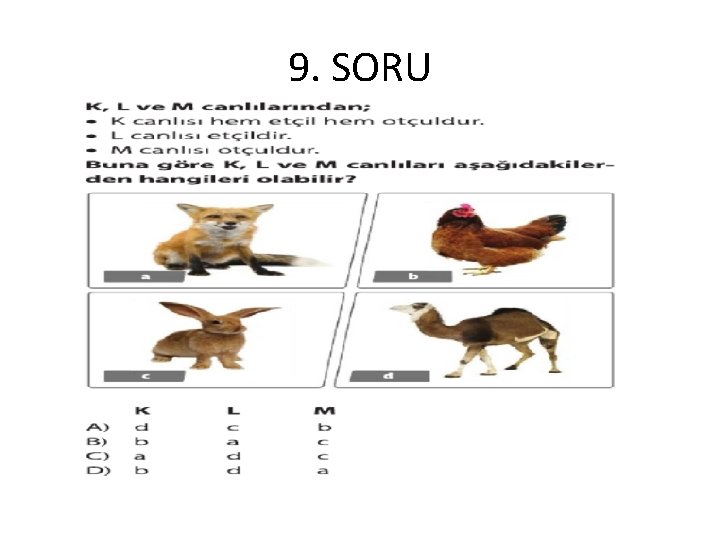 9. SORU 
