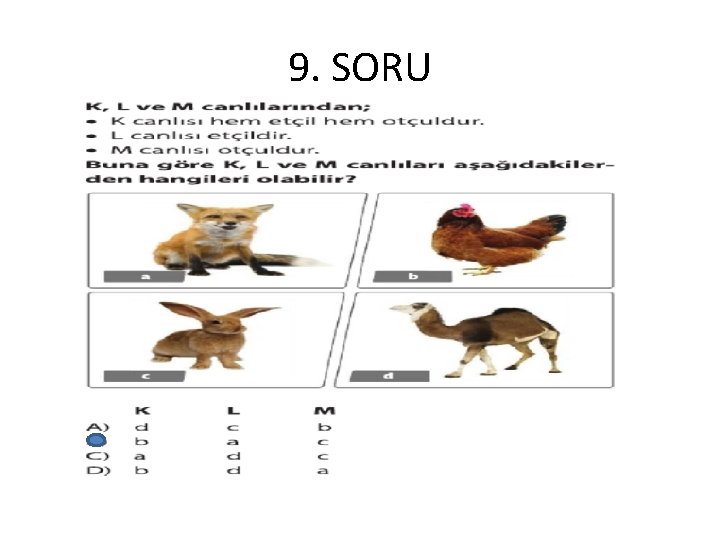 9. SORU 