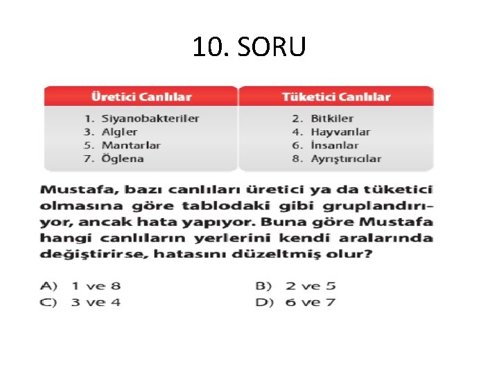 10. SORU 