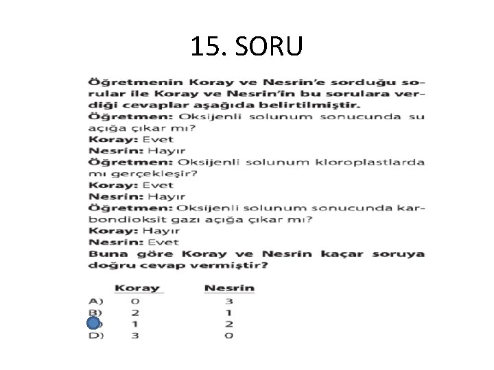 15. SORU 