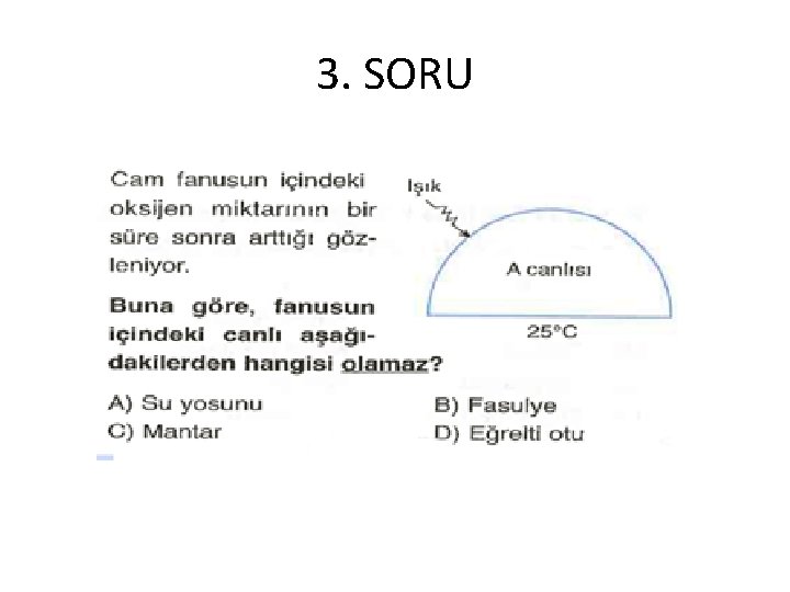 3. SORU 